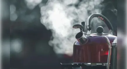 Kız kardeşine kaynar su döken sanığa 1 yıl 9 ay hapis