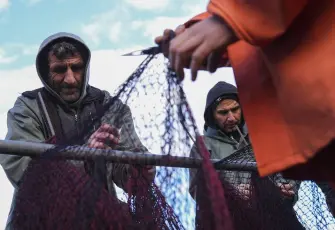 Av sezonunun ilk yarısında hamsi ve sardalya bereketi