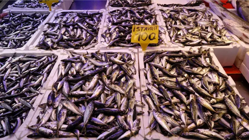 Balık avı kar ve fırtınaya takıldı: Tezgahta çeşitlilik azaldı haberinin görseli