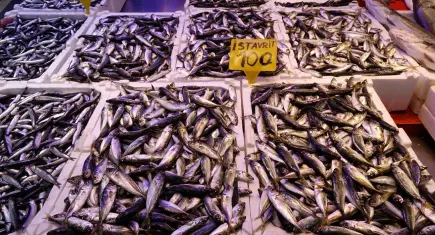 Balık avı kar ve fırtınaya takıldı: Tezgahta çeşitlilik azaldı