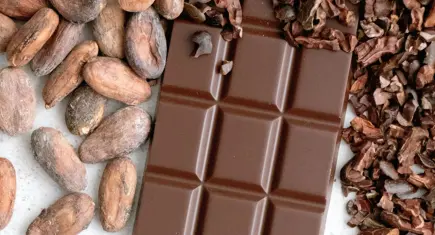 Kakao fiyatları 2025’te tarihi düşüş yaşadı