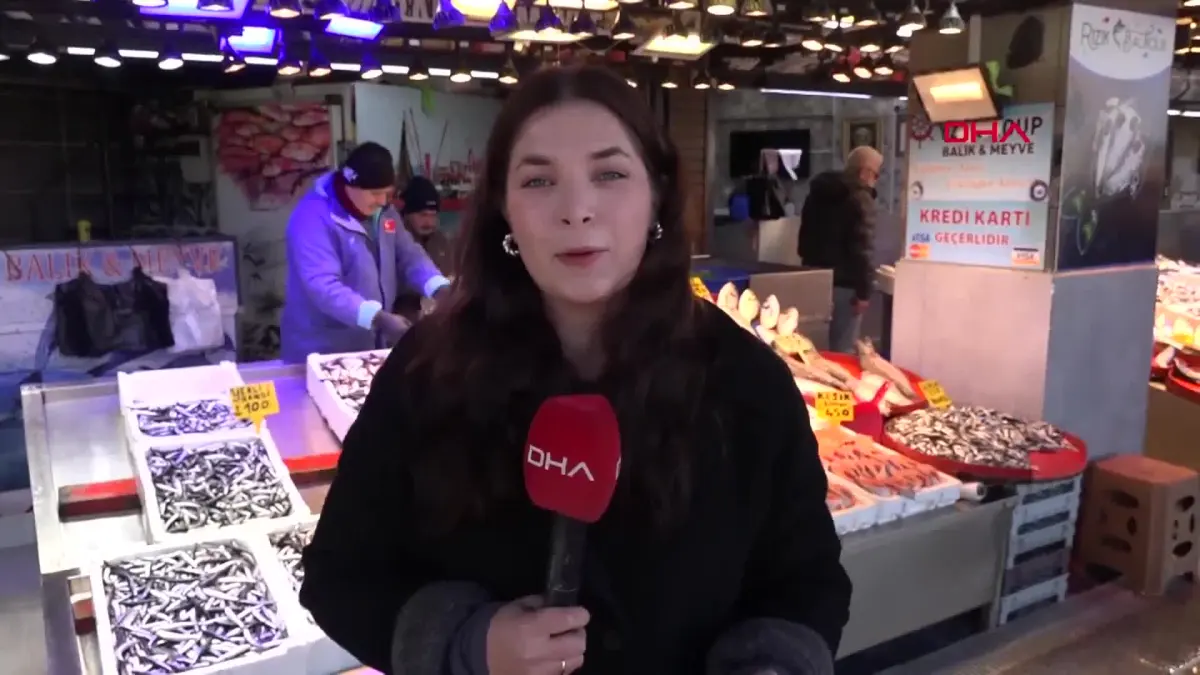 Kar ve fırtına balıkçıları vurdu başlıklı video haberin görseli