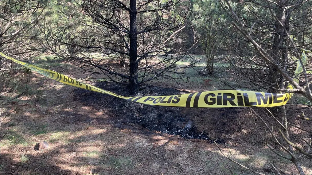 Eskişehir’deki kan donduran cinayette itiraf: Boğarak öldürdüm, iki kez gidip yaktım haberinin görseli