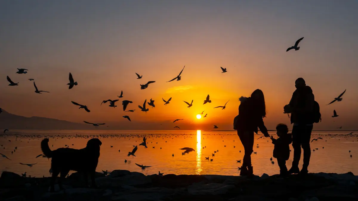 Kardeş şehirlerden kadrajlar Karşıyaka’da buluşacak haberinin görseli
