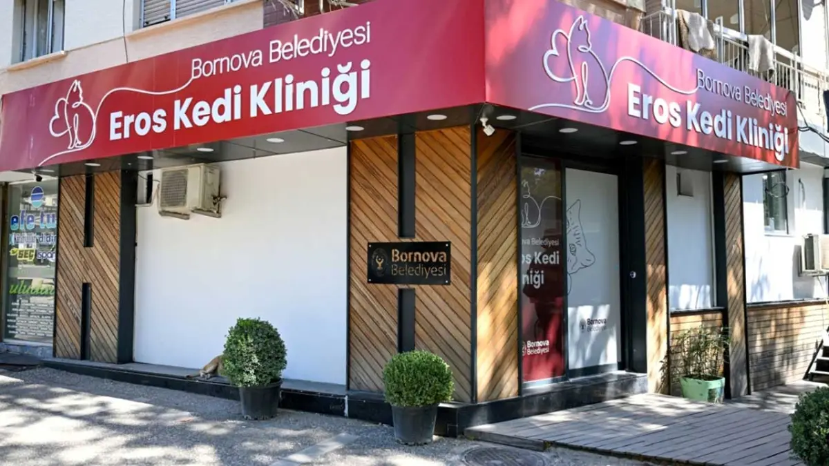 Eros Kedi Kliniği Bornova’da umut kapısı oldu haberinin görseli