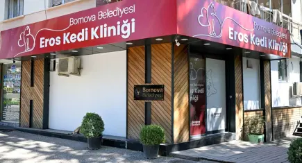 Eros Kedi Kliniği Bornova’da umut kapısı oldu