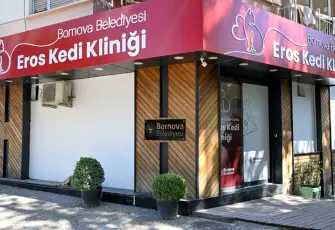 Eros Kedi Kliniği Bornova’da umut kapısı oldu