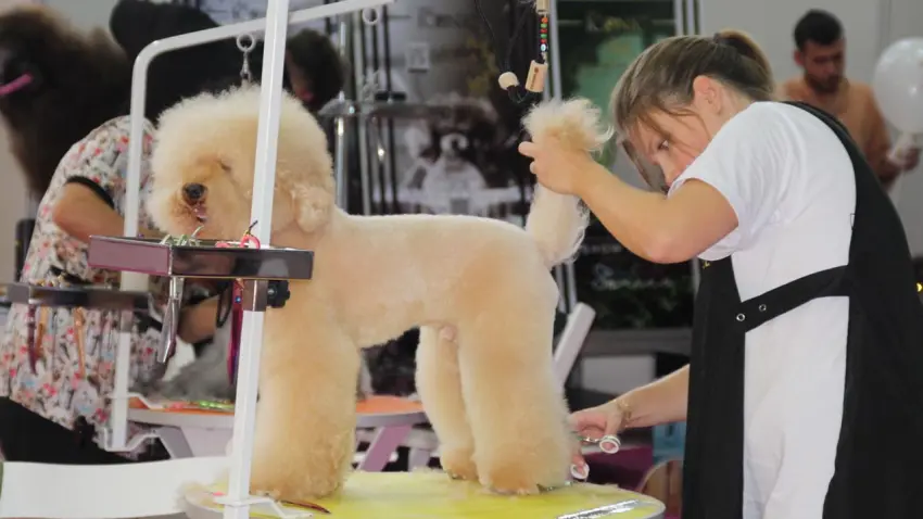 İzmir'de pet fuarı 9'uncu kez kapılarını açıyor