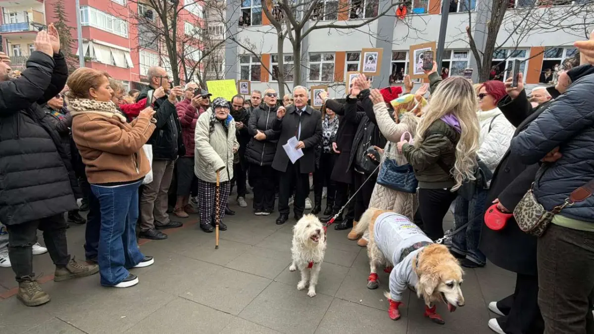 Ankara’da ‘Matmazel’ tepkisi: Hayvanseverler metro önünde toplandı haberinin görseli