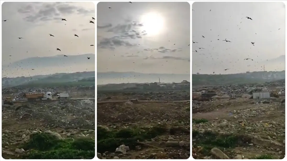 Bakanlıktan Bursa’ya 1,9 milyon liralık ‘vahşi çöp depolama’ cezası haberinin görseli