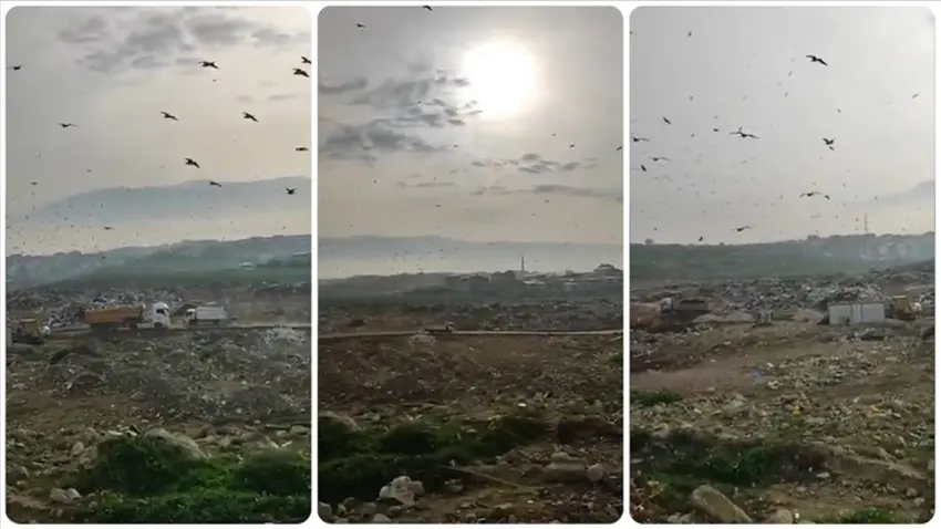 Bakanlıktan Bursa’ya 1,9 milyon liralık ‘vahşi çöp depolama’ cezası