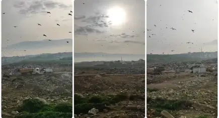 Bakanlıktan Bursa’ya 1,9 milyon liralık ‘vahşi çöp depolama’ cezası