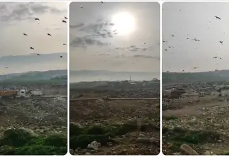 Bakanlıktan Bursa’ya 1,9 milyon liralık ‘vahşi çöp depolama’ cezası