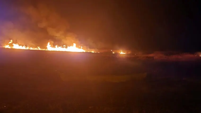 Eber Gölü'nde 5 farklı noktada yangın çıktı haberinin görseli