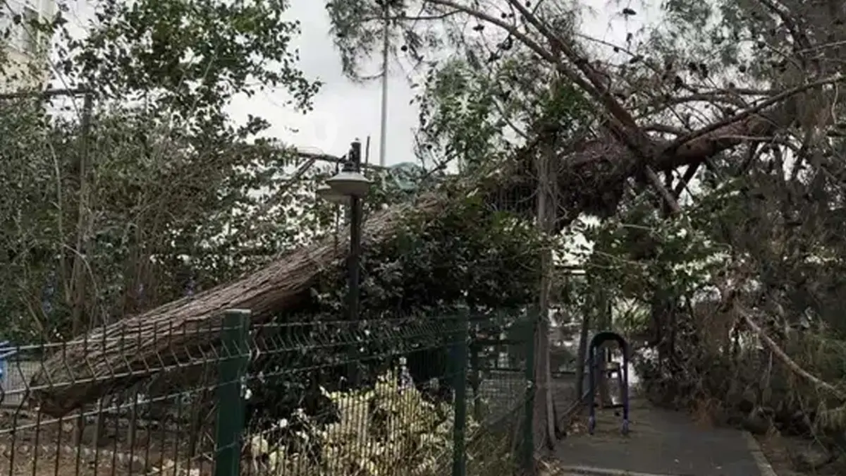 İstanbul Valiliği duyurdu: Fırtınada 89 çatı uçtu, 45 ağaç devrildi haberinin görseli