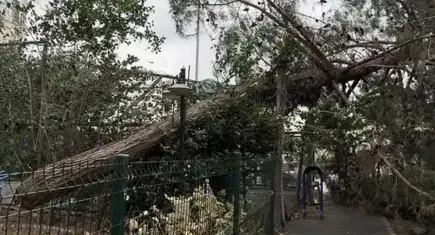İstanbul Valiliği duyurdu: Fırtınada 89 çatı uçtu, 45 ağaç devrildi