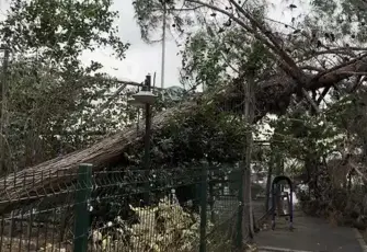İstanbul Valiliği duyurdu: Fırtınada 89 çatı uçtu, 45 ağaç devrildi