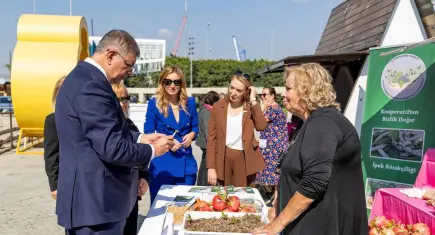 Menderes’te salep üretimine büyük destek