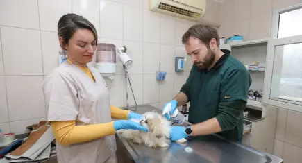 Gaziemir’de 132 hayvan yeni yuvalarına kavuştu