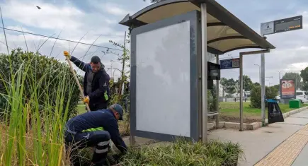 İzmir’de otobüs durakları yeşile bürünüyor