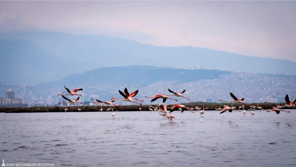 İZDENİZ’den yarıyıl tatiline özel etkinlikler haberinin görseli