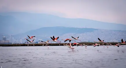 İZDENİZ’den yarıyıl tatiline özel etkinlikler