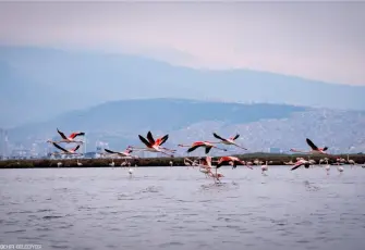 İZDENİZ’den yarıyıl tatiline özel etkinlikler