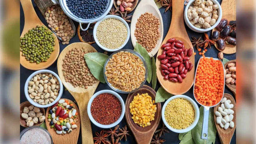 Ege Hububatçıları Kore pazarıyla buluşuyor