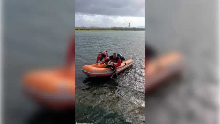 İzmir’de itfaiye dalgıçlarından flamingo kurtarma operasyonu