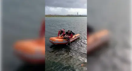 İzmir’de itfaiye dalgıçlarından flamingo kurtarma operasyonu