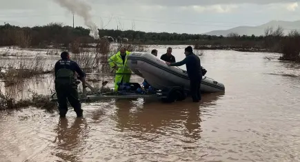 Manisa'da çaya düşen 9 köpek yavrusu kurtarıldı