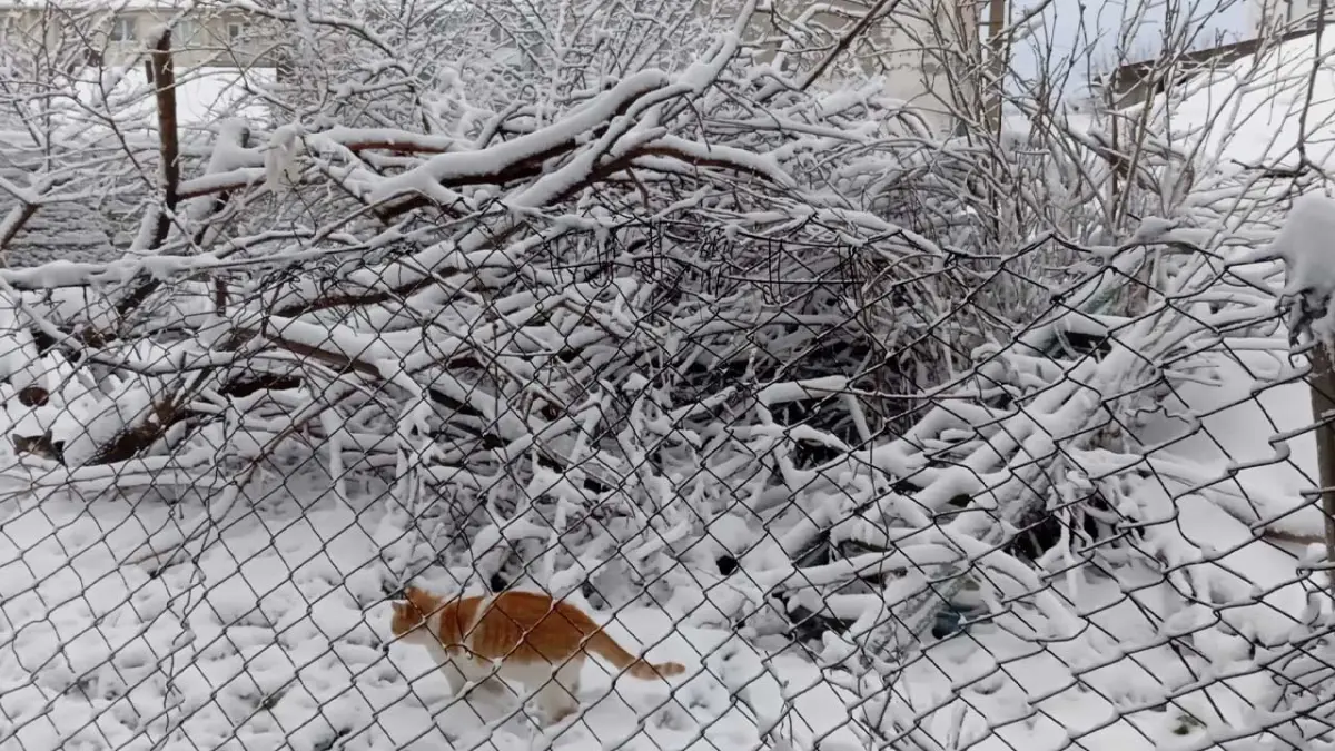 Trakya’da kar mesaisi: Malkara beyaza büründü! haberinin görseli