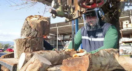 Konak’ta bu kış 250 aileye yakacak odun ulaştı