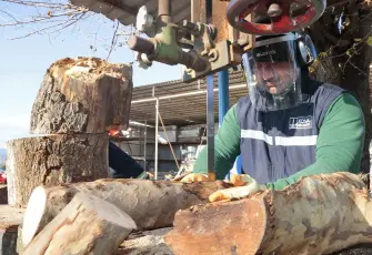 Konak’ta bu kış 250 aileye yakacak odun ulaştı