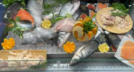 Türkiye’nin su ürünleri ihracatı rekor kırdı