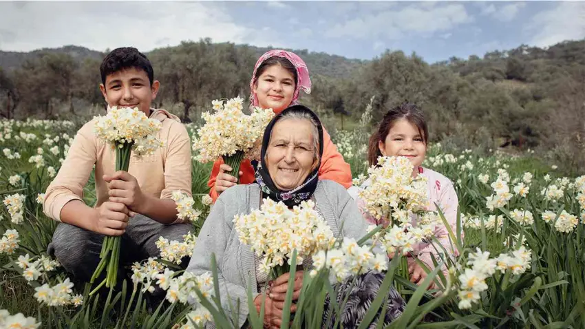 Bayındır, Nergis ve Kuru Çiçek Festivali ile renklenecek