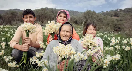 Bayındır, Nergis ve Kuru Çiçek Festivali ile renklenecek