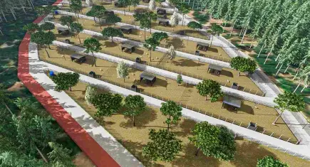 Kemalpaşa’da sokak hayvanlarına büyük destek