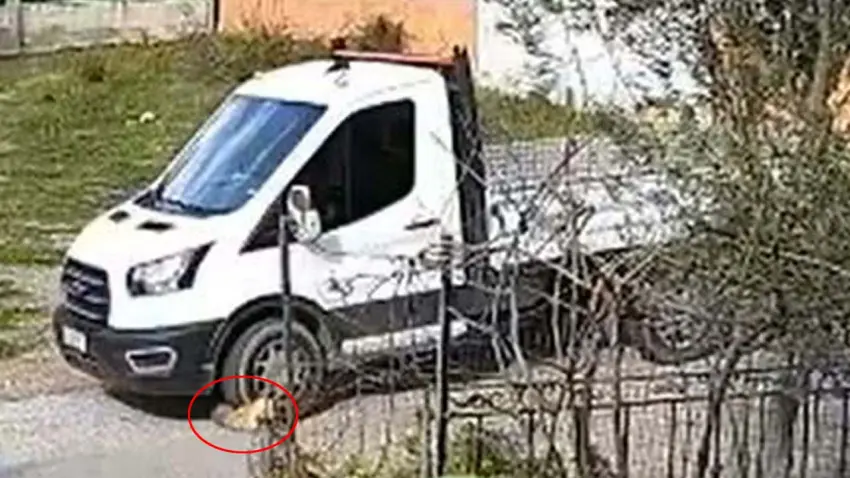 Seferihisar’da kamyonetin ezdiği Meks hayatını kaybetti