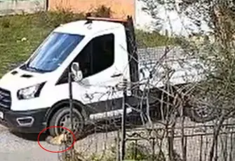 Seferihisar’da kamyonetin ezdiği Meks hayatını kaybetti