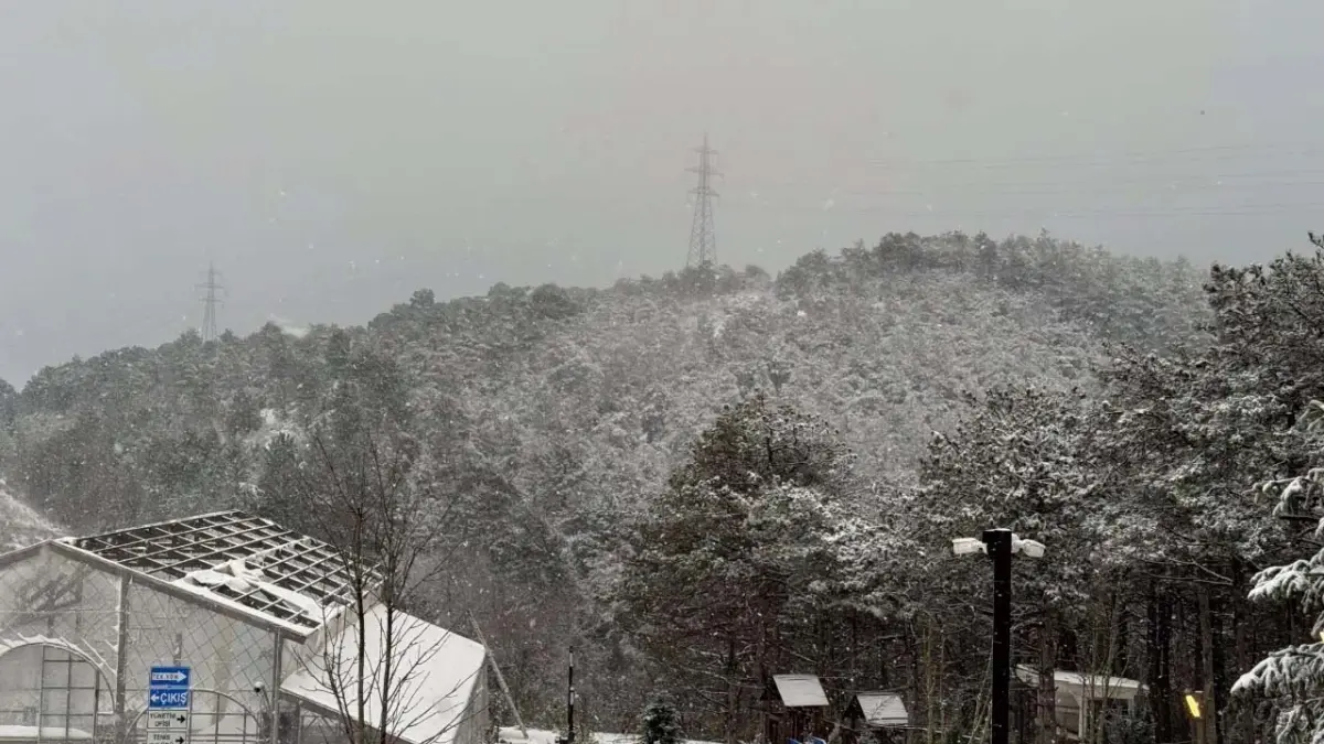 İstanbul'da çok sayıda uçak seferi iptal edildi haberinin görseli