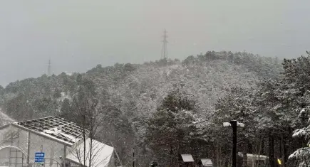 İstanbul'da çok sayıda uçak seferi iptal edildi