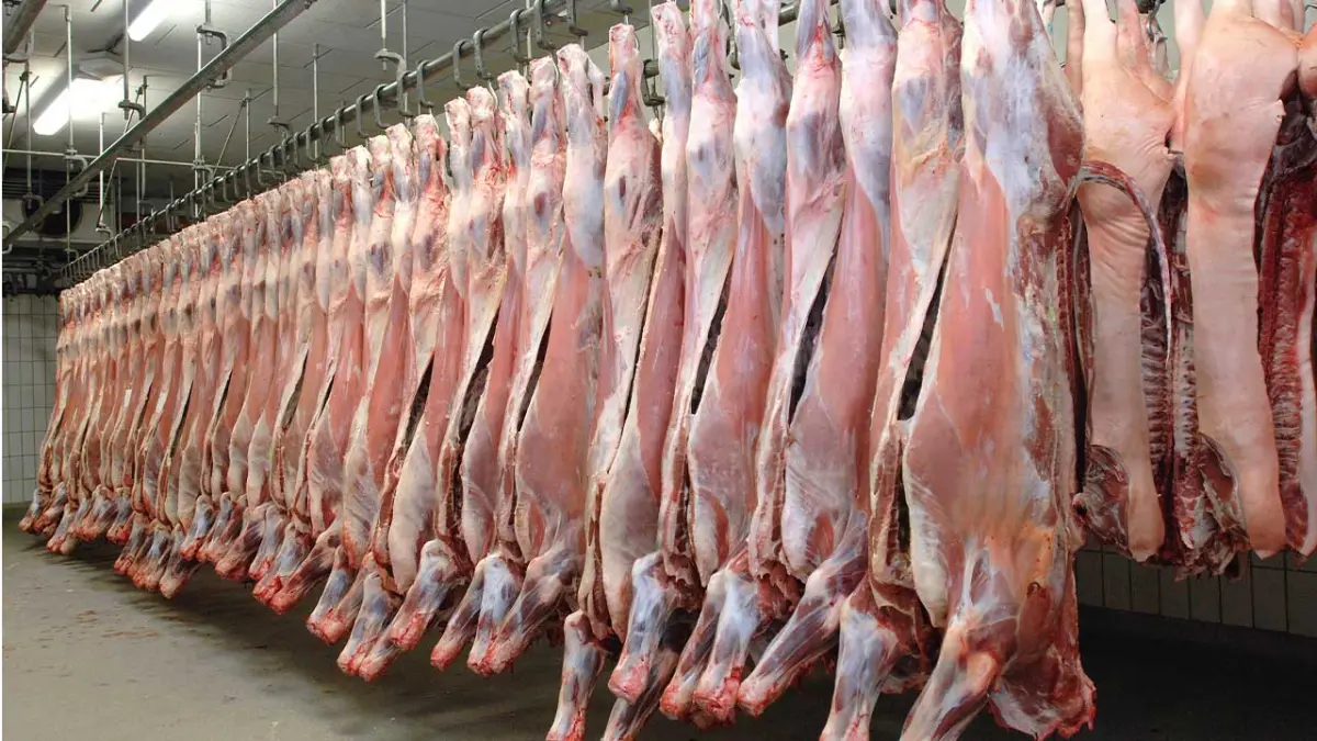 Kırmızı ette artış çift haneleri gördü  haberinin görseli