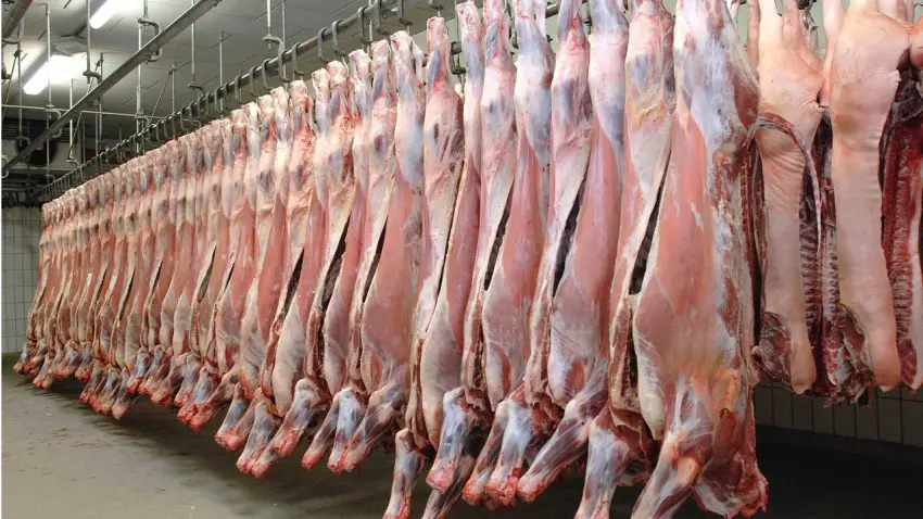 Kırmızı ette artış çift haneleri gördü  haberinin görseli