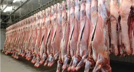 Kırmızı ette artış çift haneleri gördü 