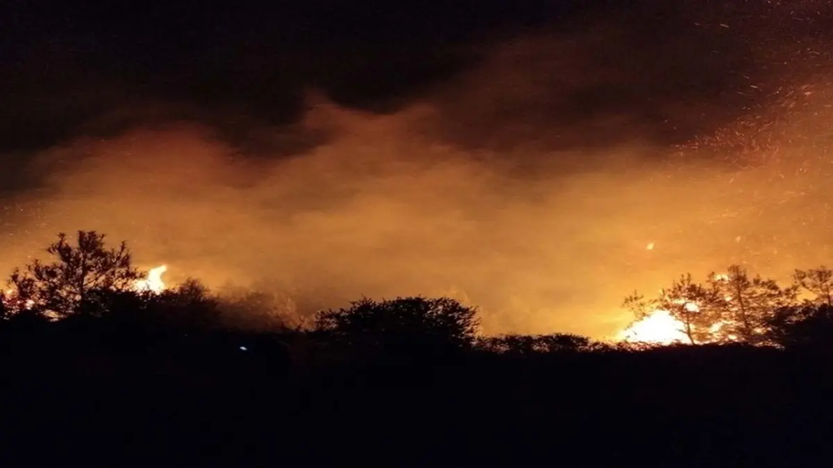 Antalya'da orman yangını haberinin görseli