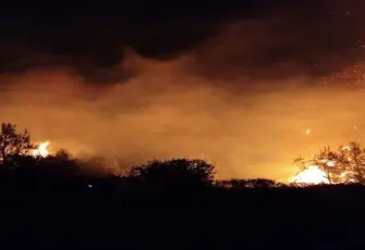 Antalya'da orman yangını