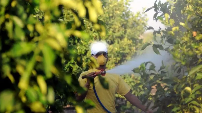 B-Reçete nedir, B-Reçeteyi kimler yazabilecek? haberinin görseli