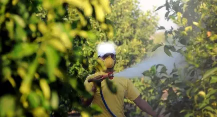 B-Reçete nedir, B-Reçeteyi kimler yazabilecek?