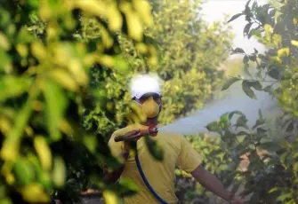 B-Reçete nedir, B-Reçeteyi kimler yazabilecek?